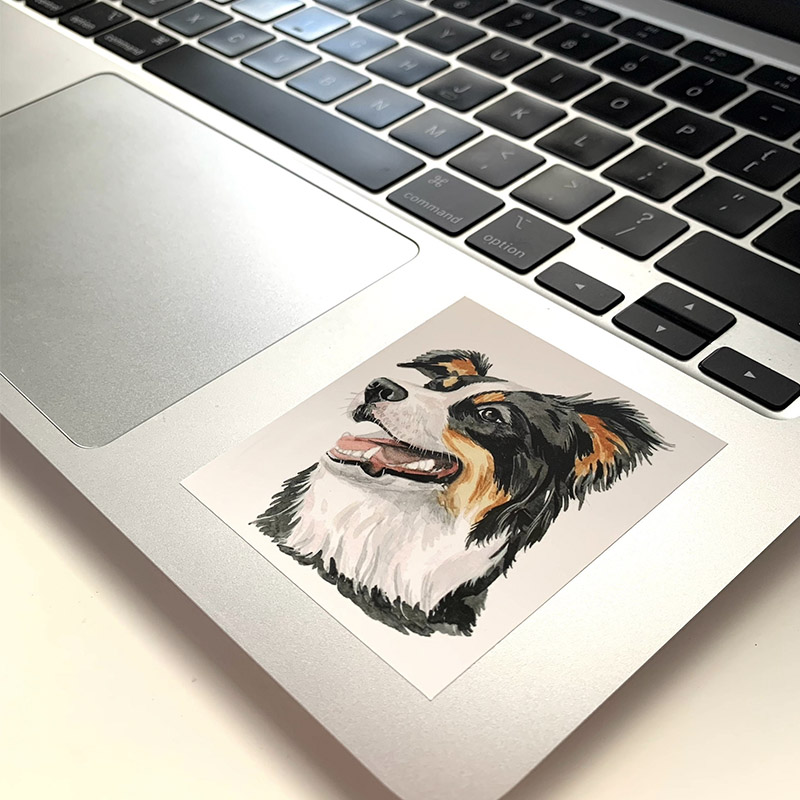 Vinyl Pet Stickers